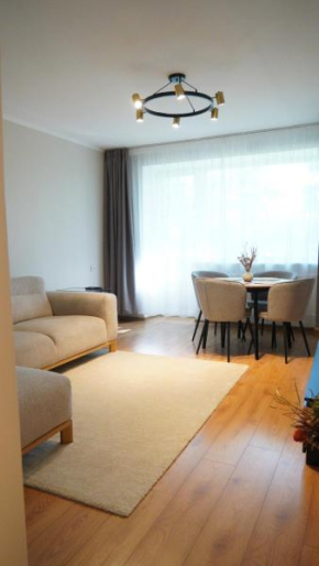Apartment near city centre